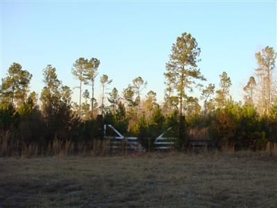 75 Gilbert Road Southeast Bolivia, NC 28422 - Photo 4 of 6 Additional Photo