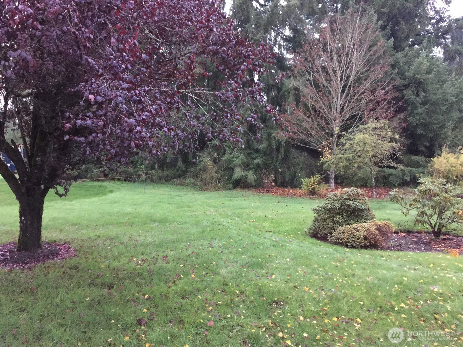 16631 Case Road Southwest Rochester, WA 98579 - Photo 28 of 37 Gallery Image 28