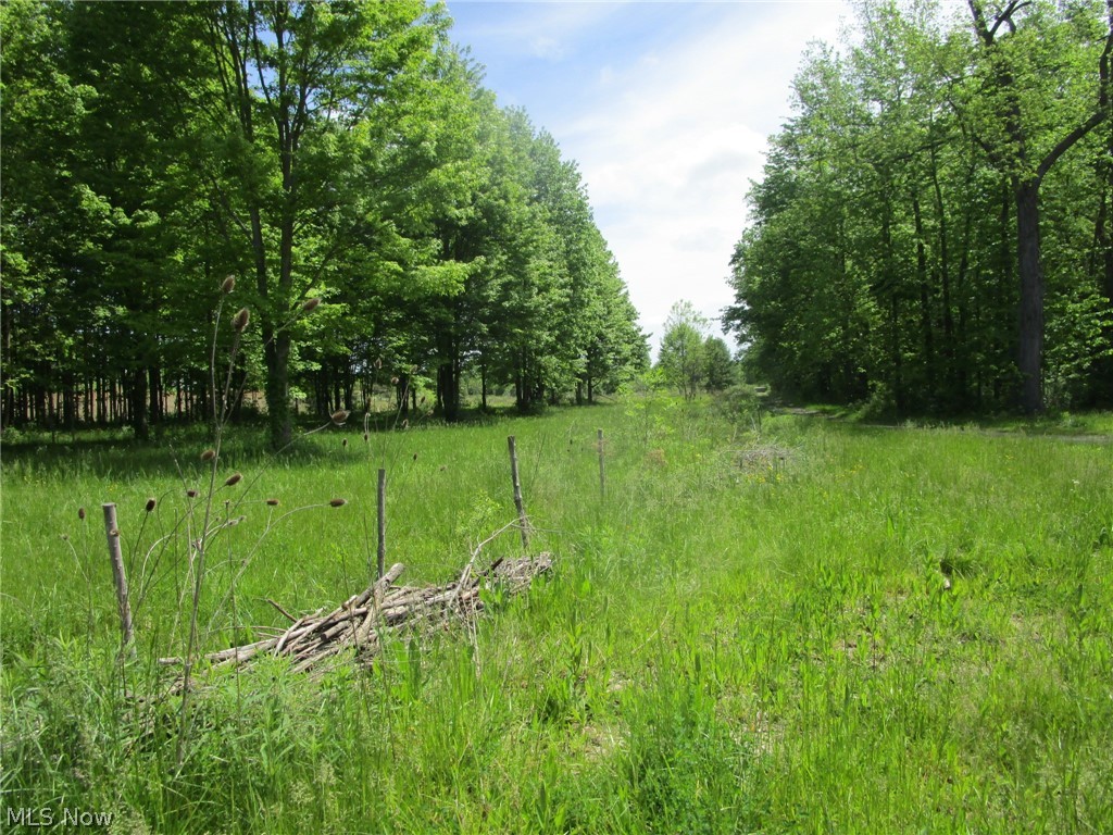 Vl Doyle Road Jefferson, OH 44047 - Photo 28 of 42
