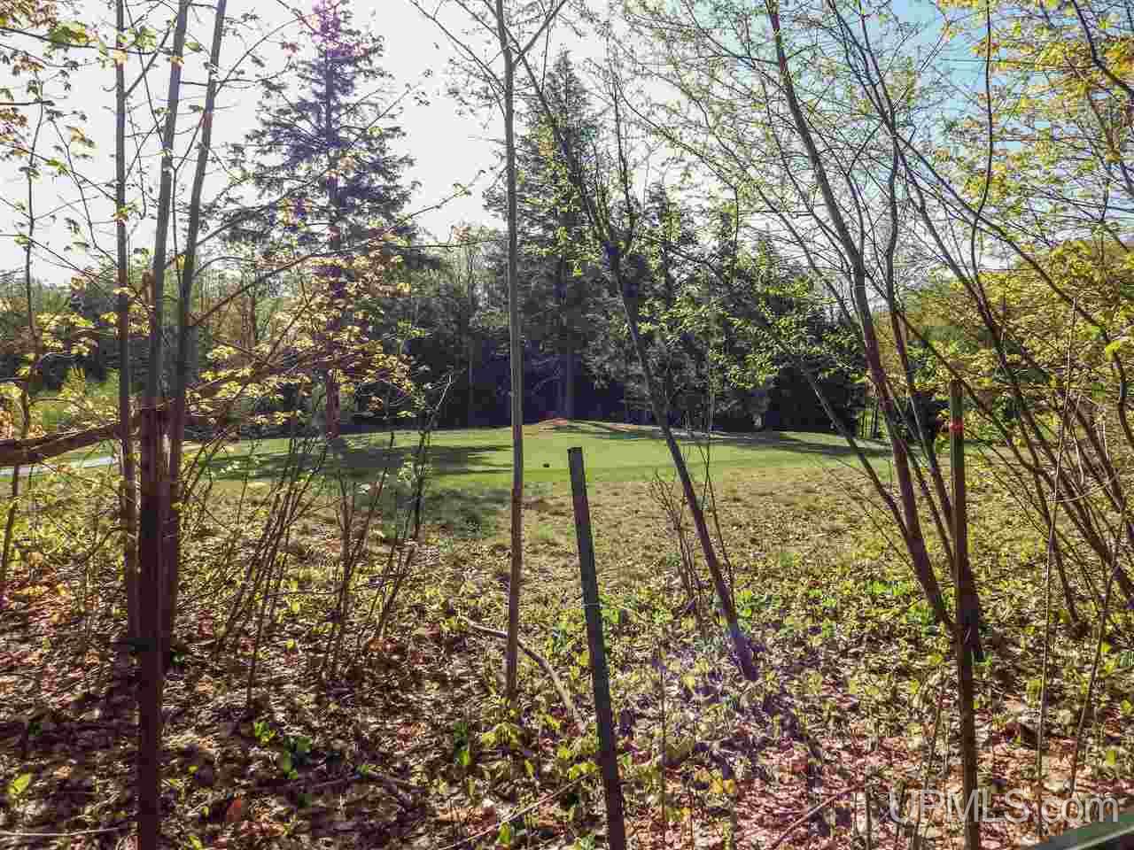 30 Acres Off Grove Street Marquette, MI 49855 - Photo 7 of 22