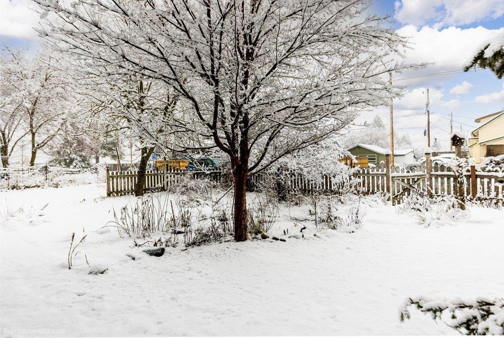 718 1st Street Newport, WA 99156 - Photo 7 of 28