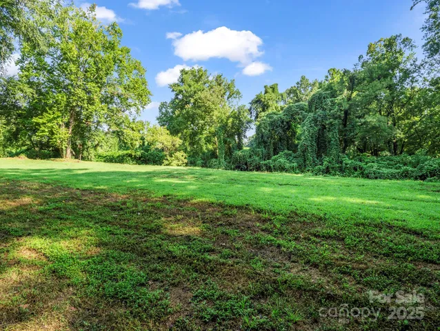 a view of a grassy field with trees in the background