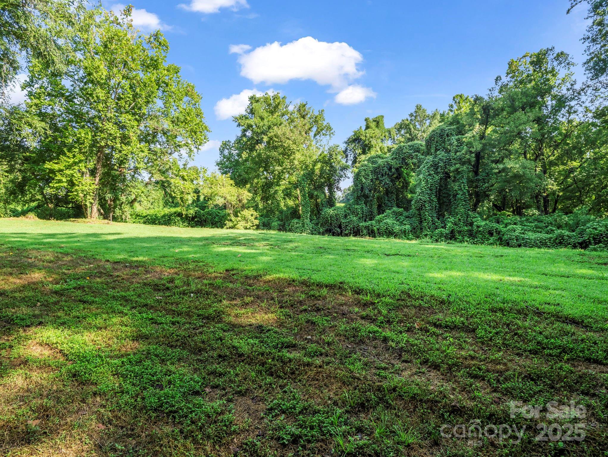 34 West Rambling Creek Tryon, NC 28782 - Photo 35 of 48 a view of a grassy field with trees in the background
