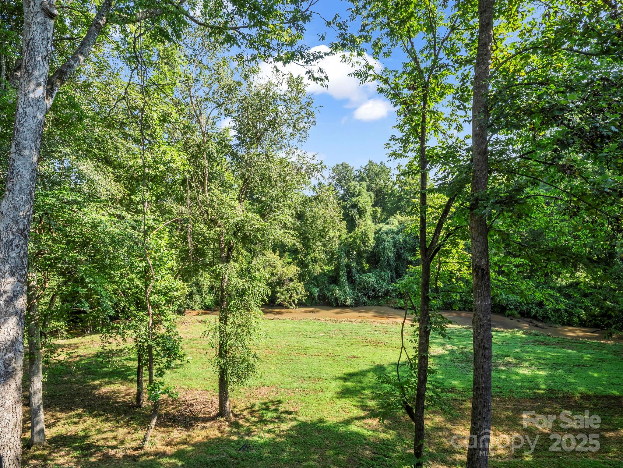 34 West Rambling Creek Tryon, NC 28782 - Photo 37 of 48 a backyard of a house with lots of green space