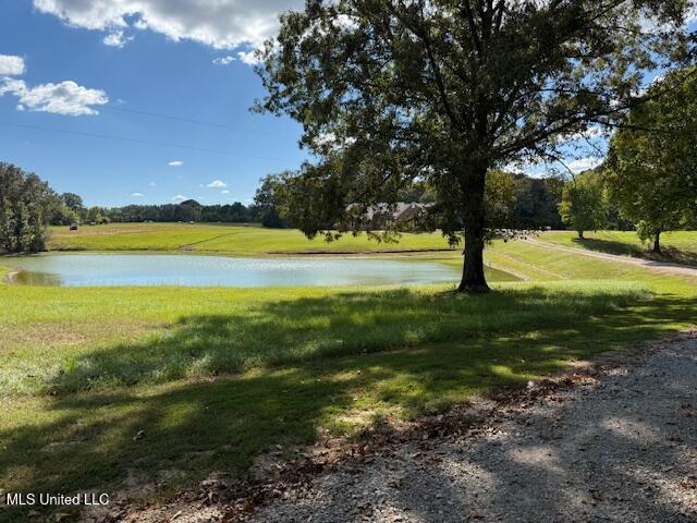 115 Valentine Road Holly Springs, MS 38635 - Photo 48 of 58 IMG_8415