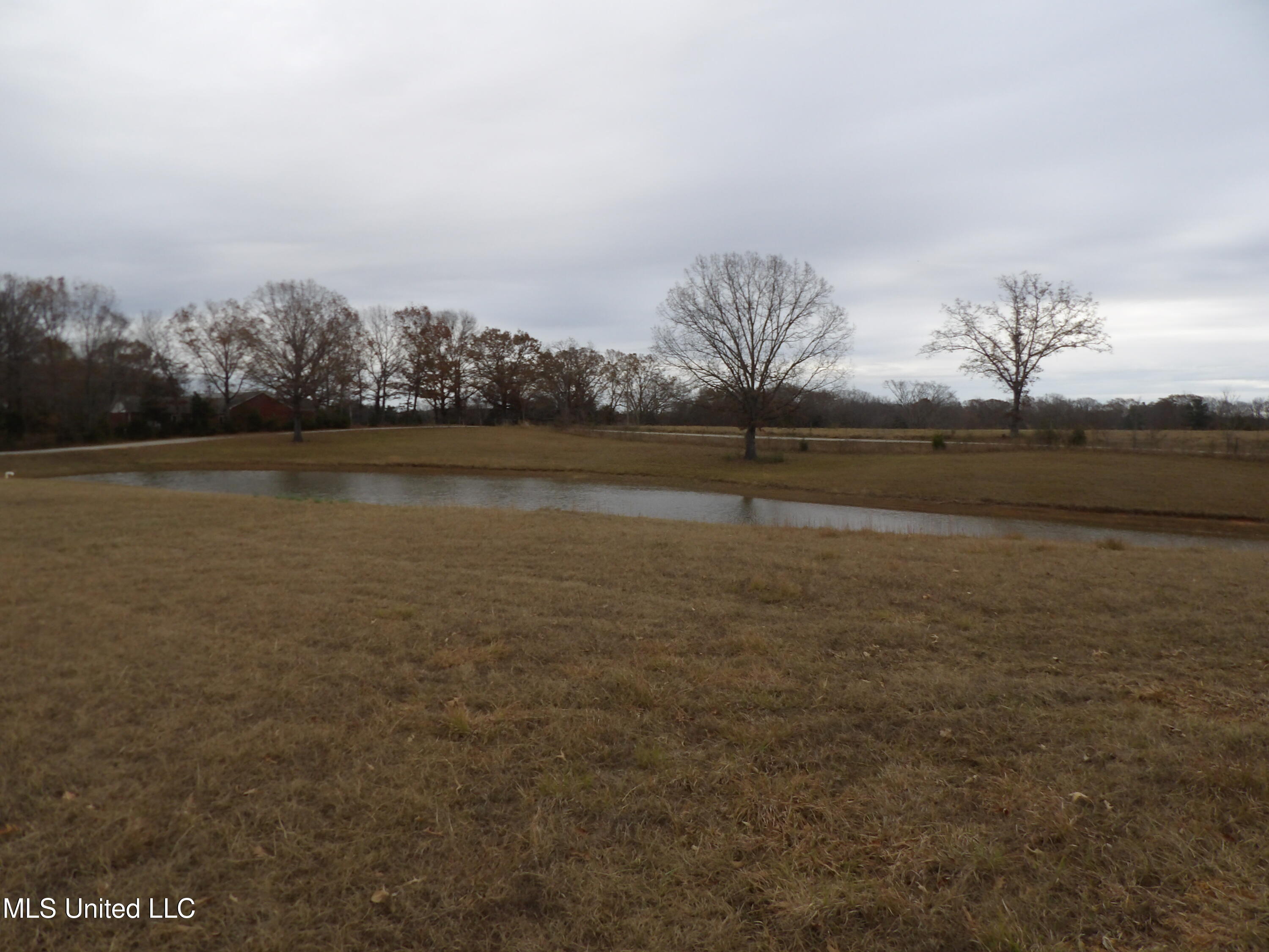115 Valentine Road Holly Springs, MS 38635 - Photo 58 of 58 100_7057