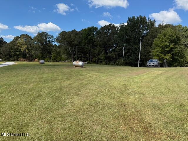115 Valentine Road Holly Springs, MS 38635 - Photo 9 of 58 IMG_8403