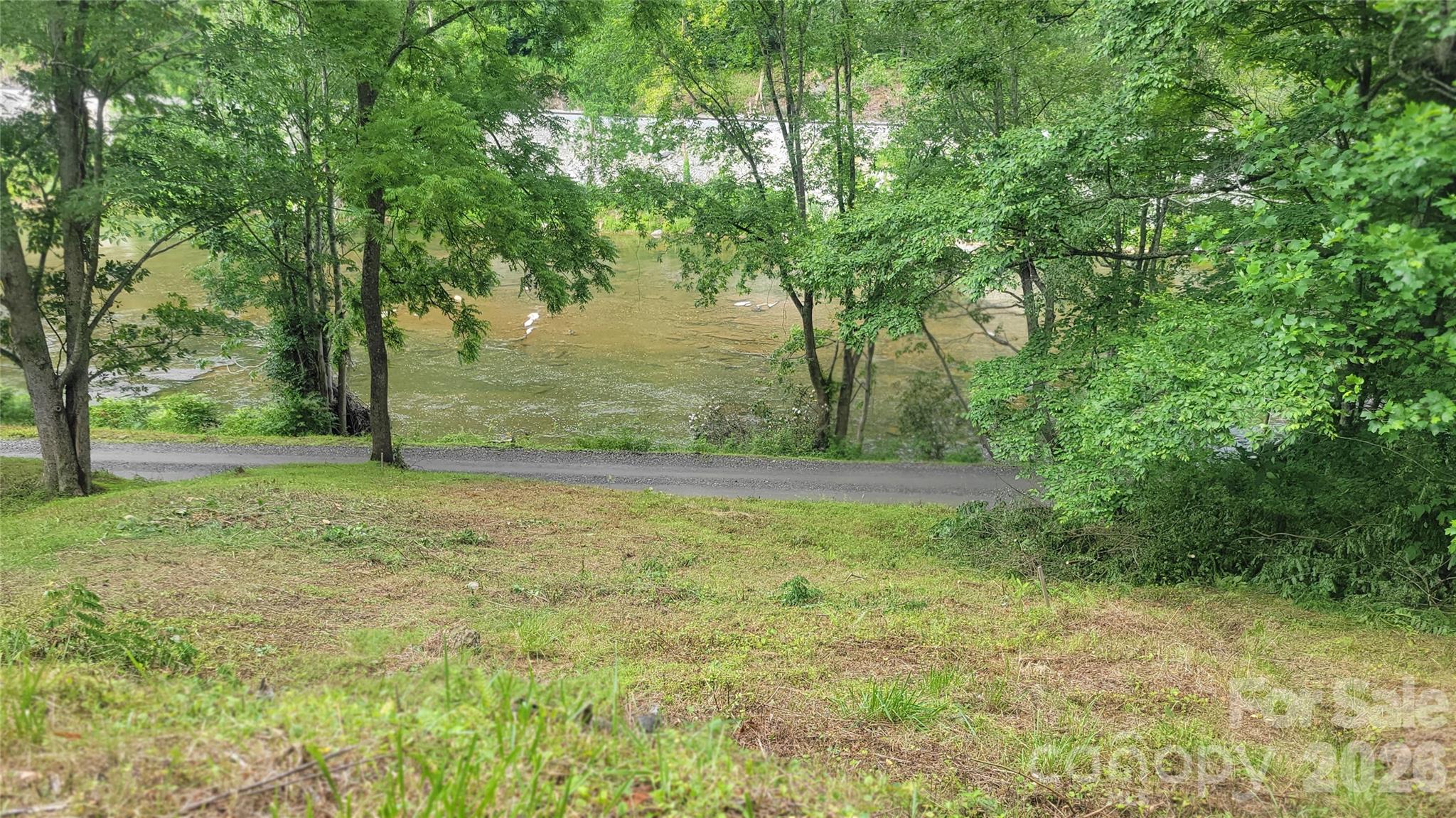 2079 Roses Branch Road Bakersville, NC 28705 - Photo 2 of 20