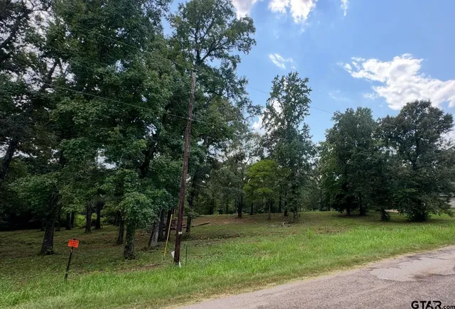 a view of a park with large trees