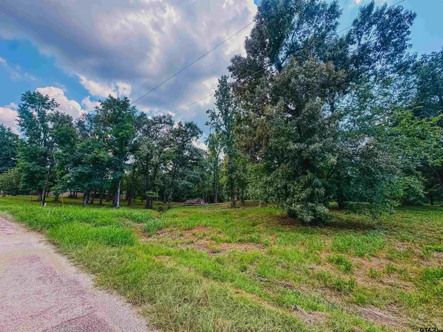 a view of a grassy field with trees in the background
