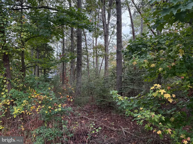 $45,000 | 11240 Lord Baltimore Drive, Issue, MD 20645