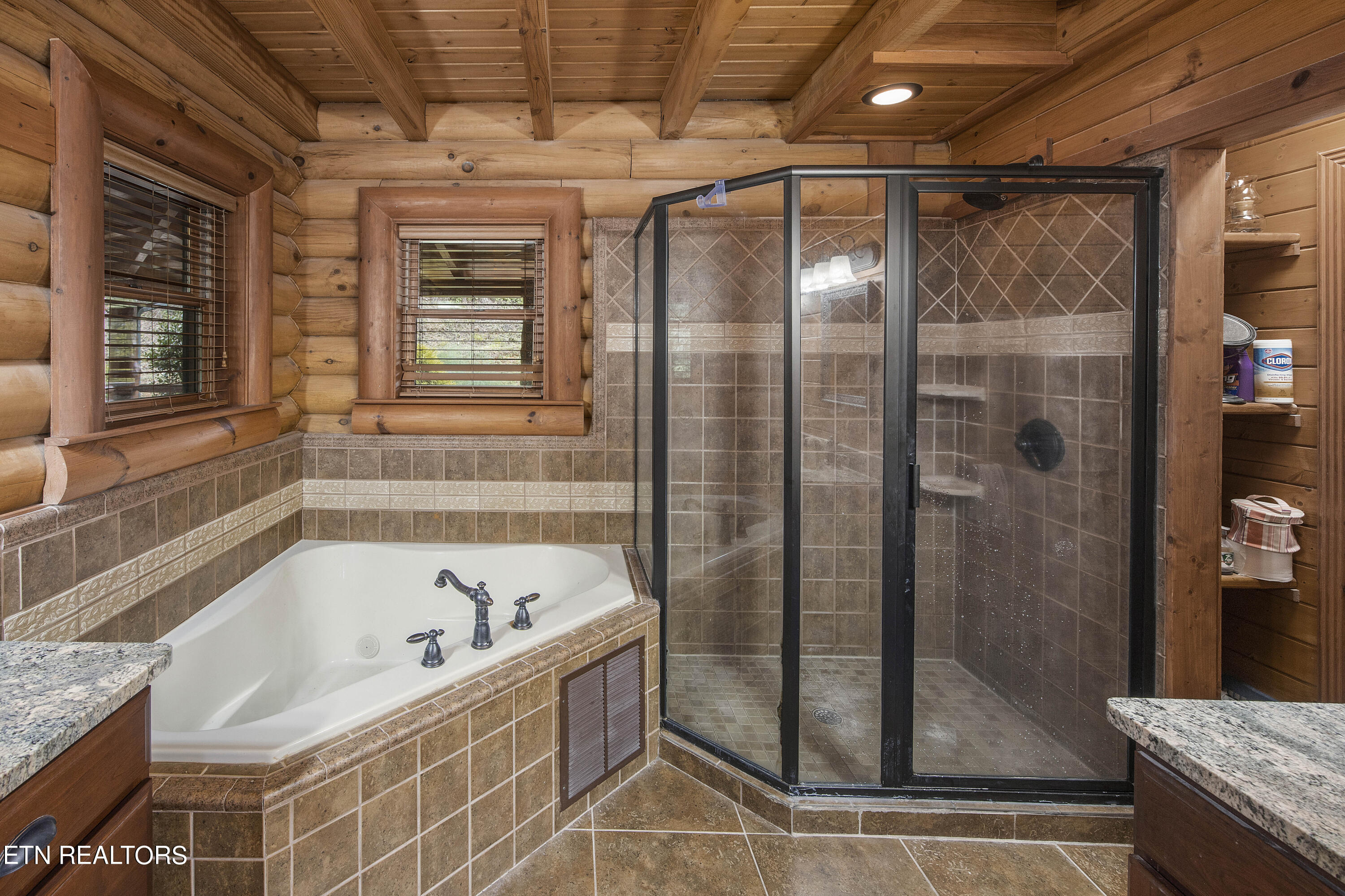 4565 Long Rifle Road Sevierville, TN 37862 - Photo 19 of 51 Whirlpool tub and large walk in shower