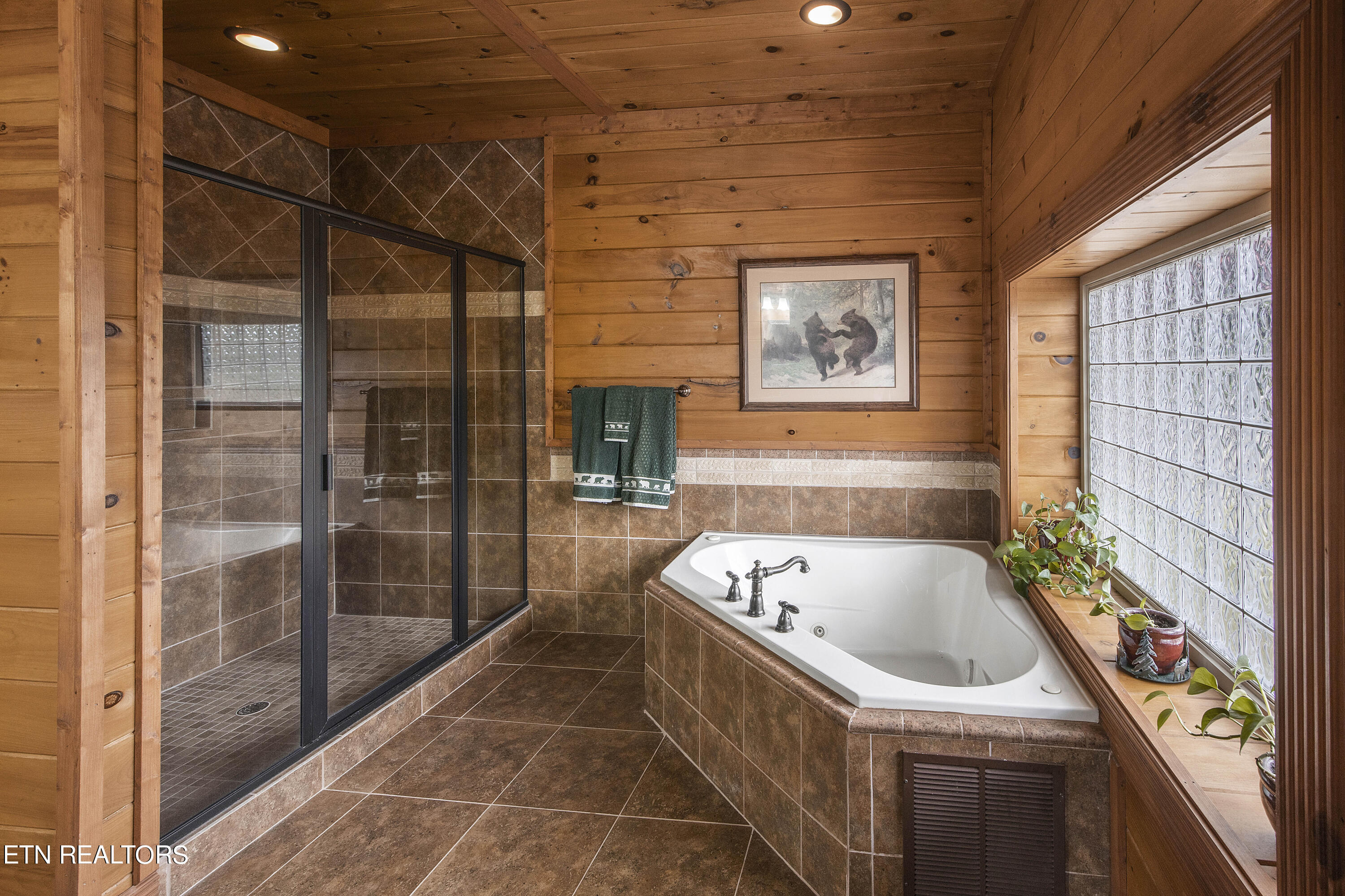 4565 Long Rifle Road Sevierville, TN 37862 - Photo 31 of 51 Whirlpool tub and oversized tiled shower
