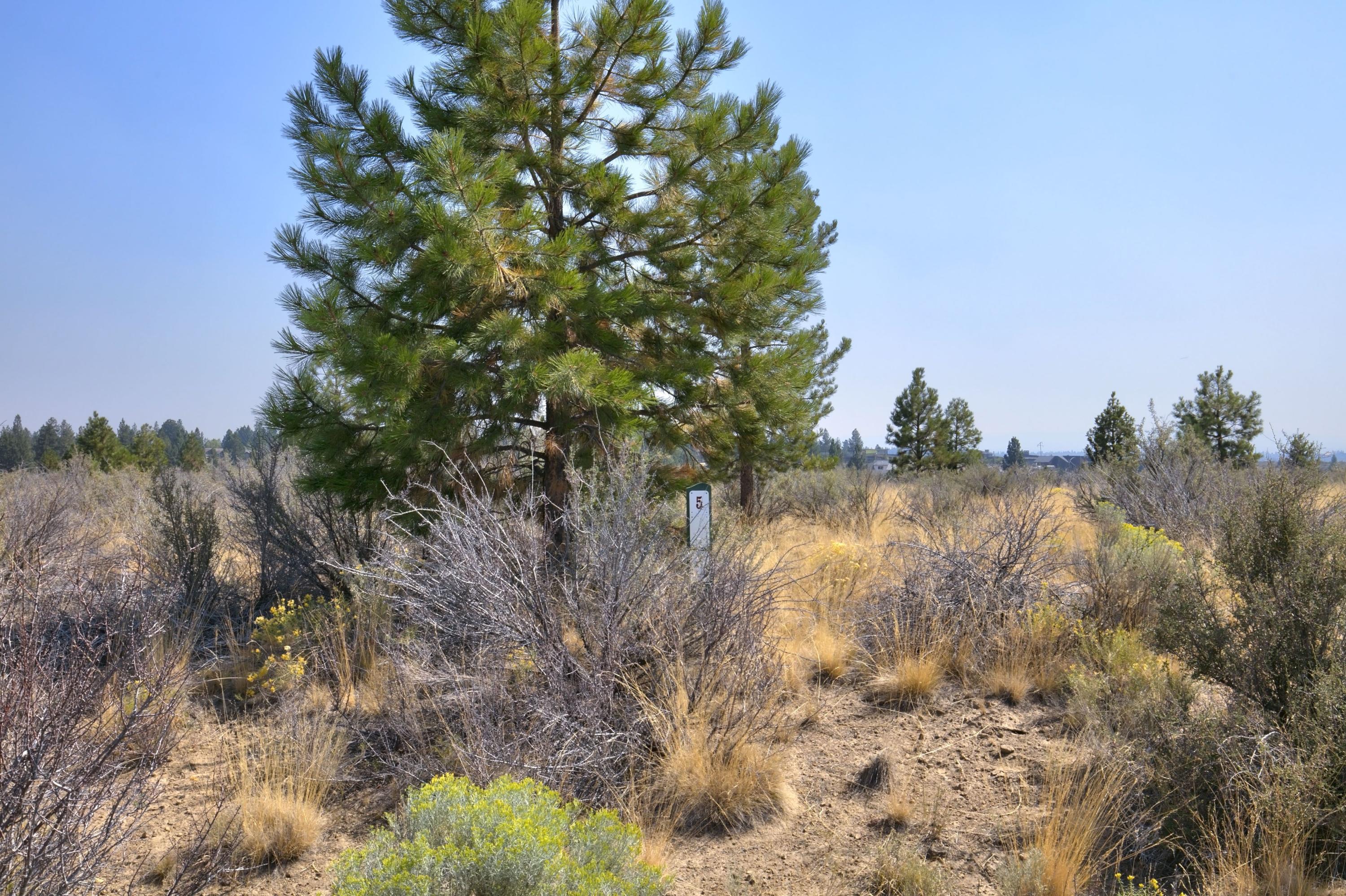 19125 Macalpine Loop Bend, OR 97702 - Photo 17 of 21 19125 MacAlpine Lp_020