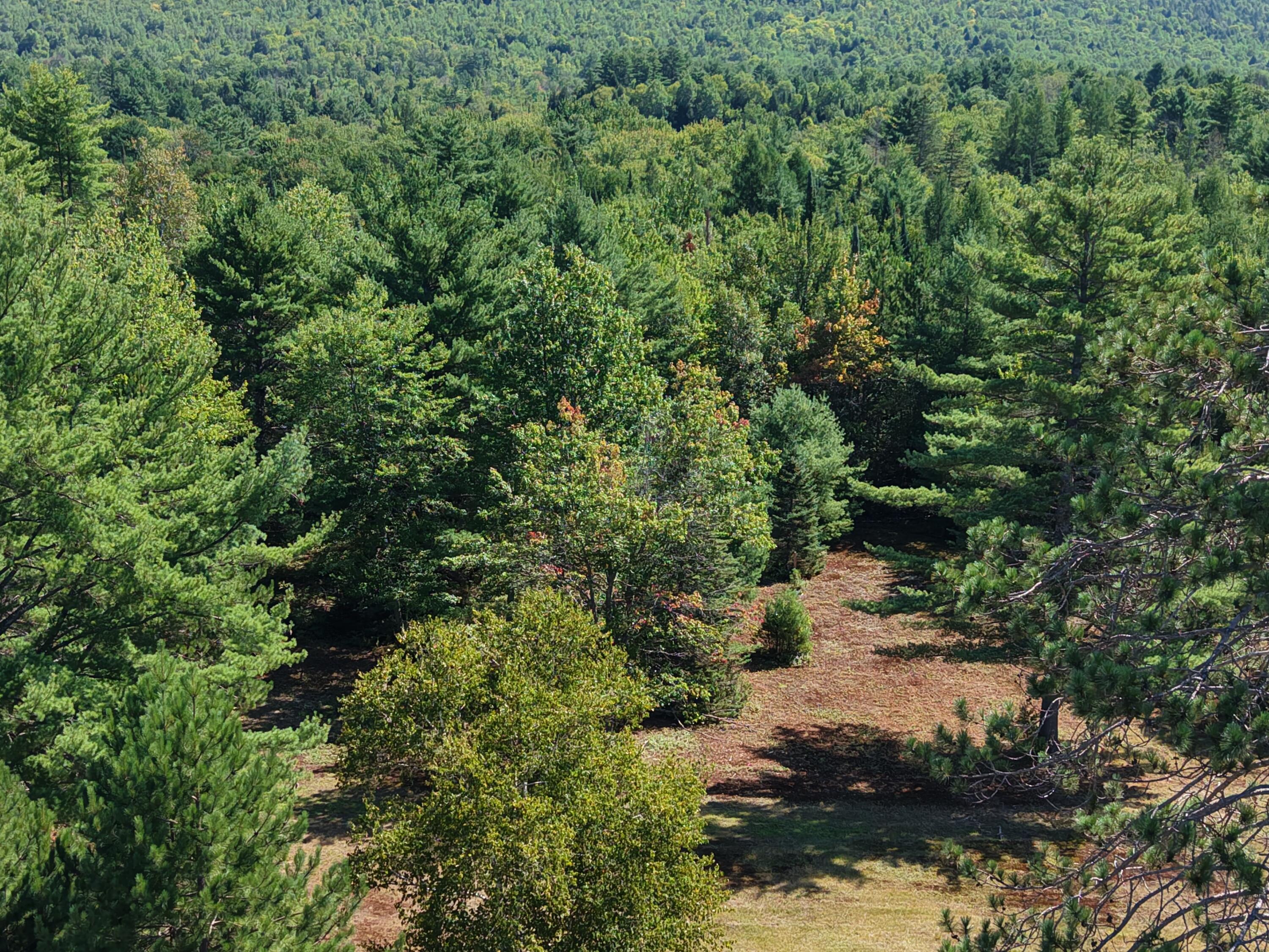 71 Birch Road New Portland, ME 04961 - Photo 84 of 100 DJI_20260826112847_0028_D