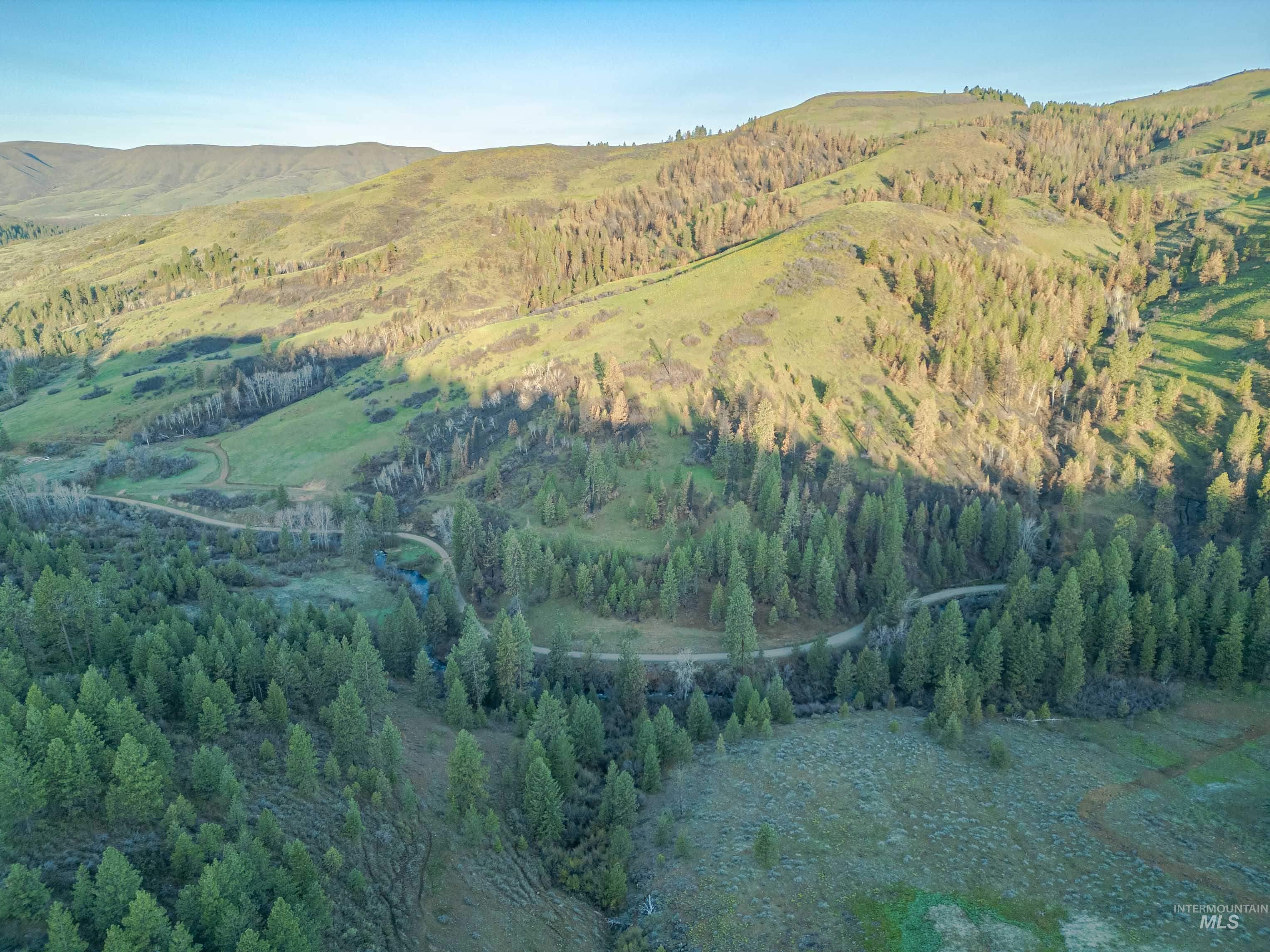 Tbd Tbd Ola Ola, ID 83657 - Photo 9 of 19 View of mountain background with a heavily wooded area