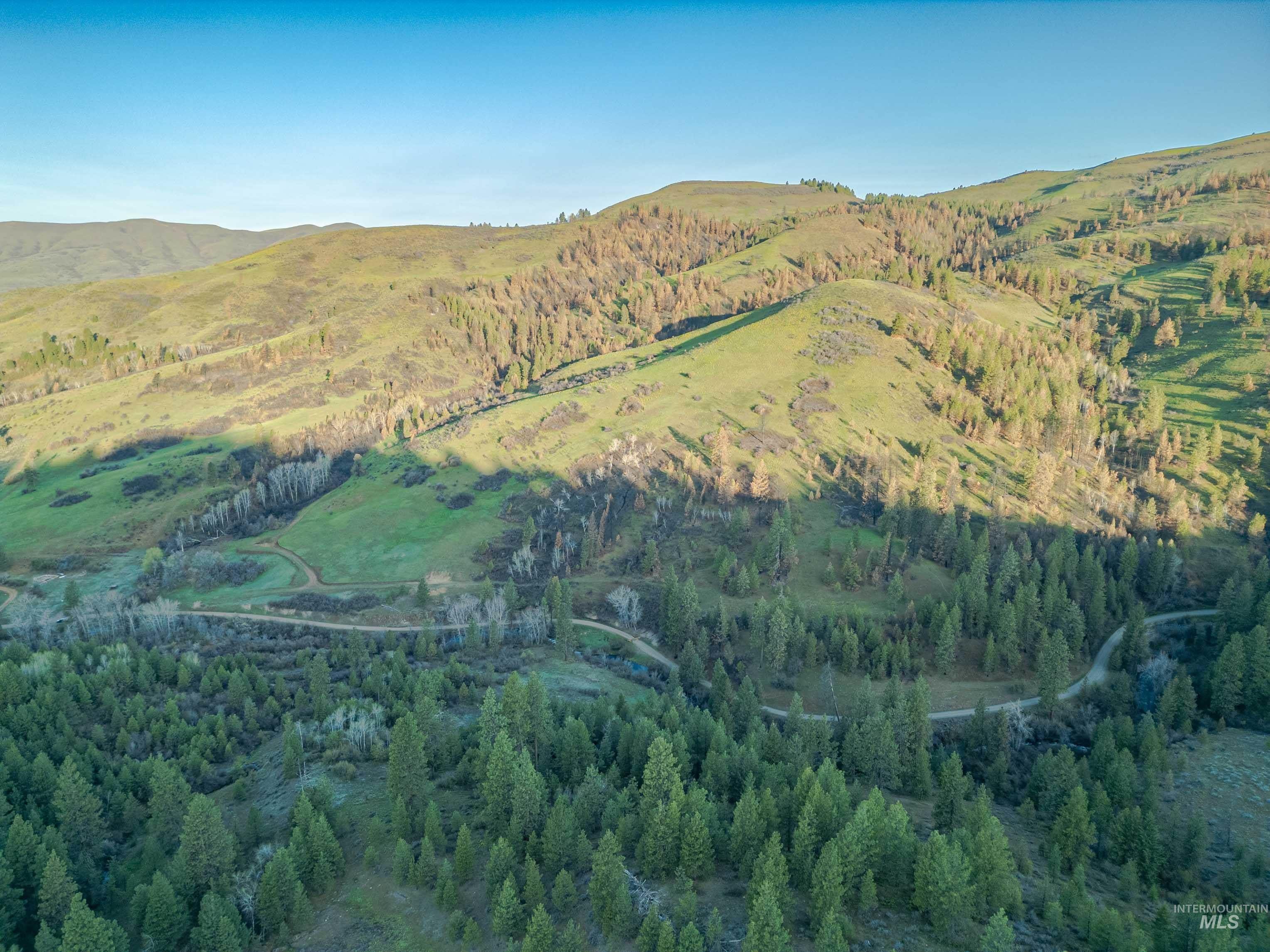 Tbd Tbd Ola Ola, ID 83657 - Photo 10 of 19 Mountain view with a forest