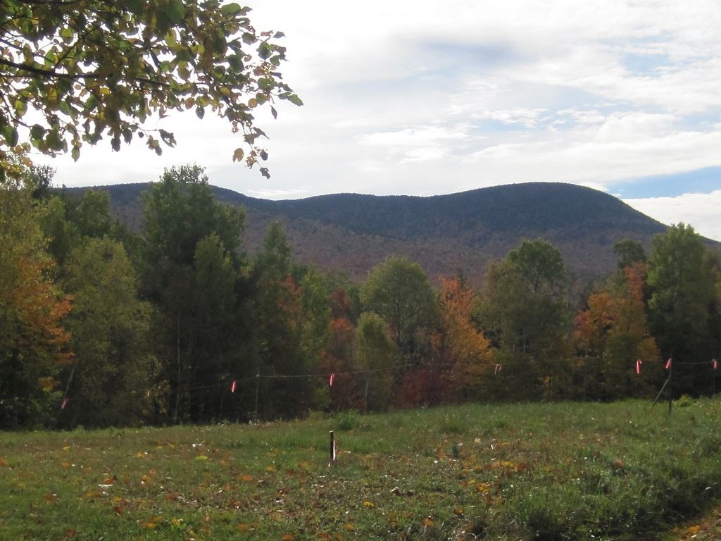 0 Mousley Brook Road Orford, NH 03777 - Photo 6 of 6