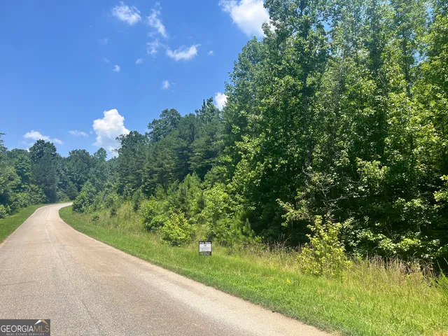 a view of a garden with a tree