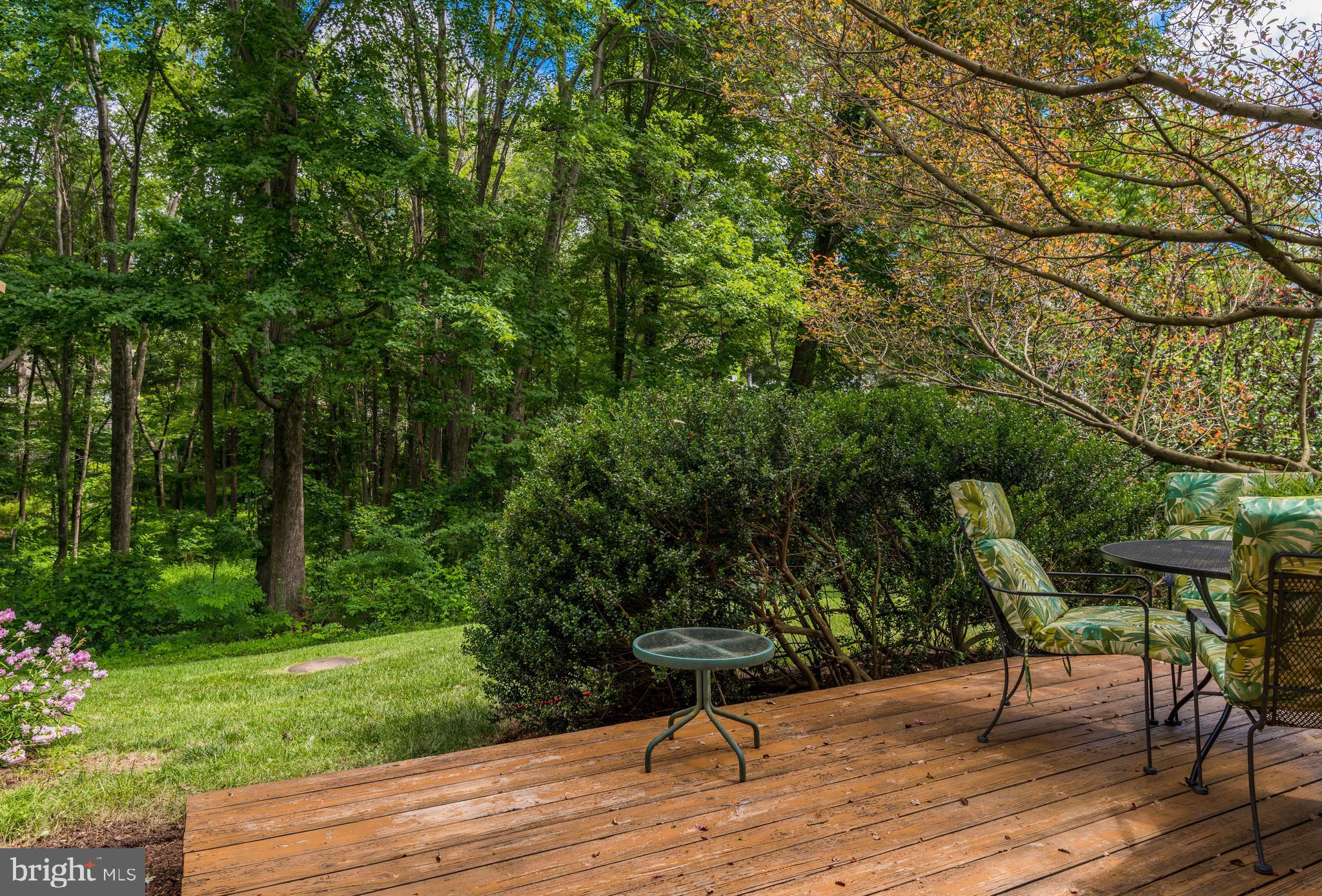 1600 Barnstead Drive Reston, VA 20194 - Photo 34 of 37 Backyard extends beyond the fence line