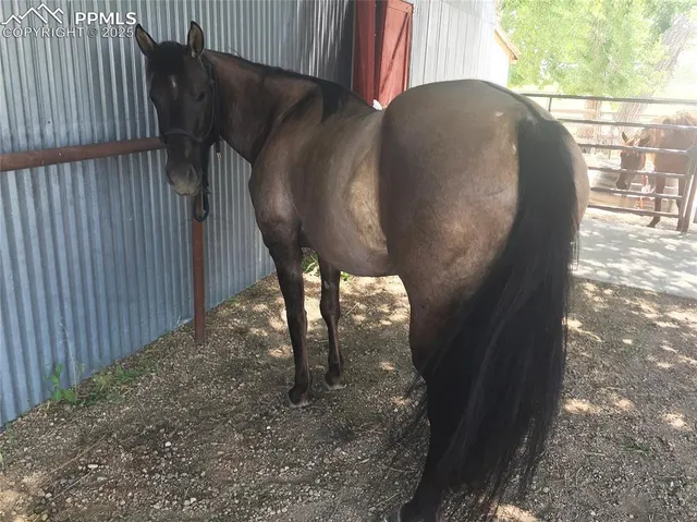 $615,000 | 706 Avondale Boulevard, Avondale, CO 81022