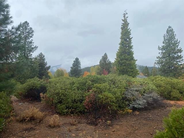 Lot 55 Grant Road Mount Shasta, CA 96067 - Photo 3 of 12 Gallery Image 3