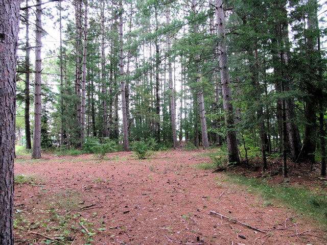 - Pratt Road Elcho, WI 54428 - Photo 1 of 4 Gallery Image 1