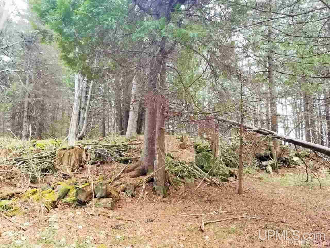 Tbd Stelzer Road Gulliver, MI 49840 - Photo 23 of 26