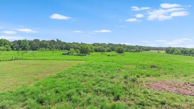 a view of a lush green space