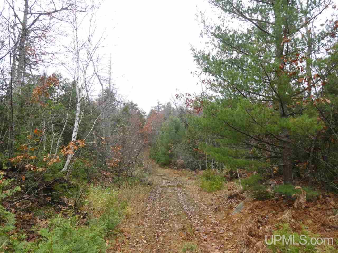 510 Rd Marquette Mi 49855 Road Negaunee, MI 49866 - Photo 18 of 26