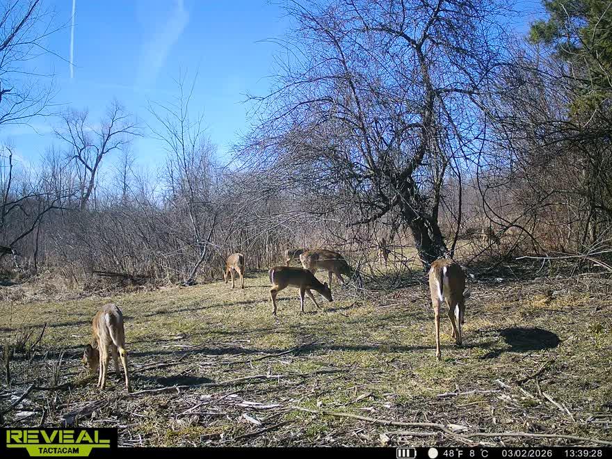 Vl Burlington Road Marcellus, MI 49067 - Photo 39 of 42 2