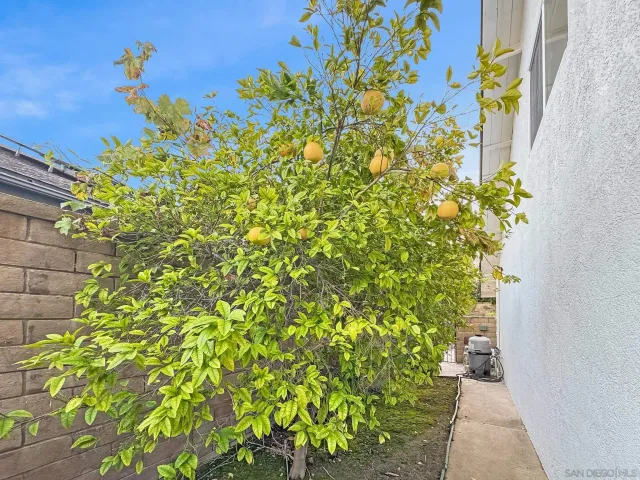 $6,100 | 25521 Alisal Avenue, Laguna Hills, CA 92653