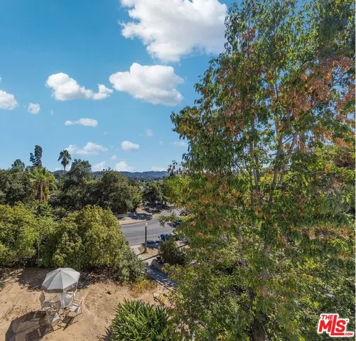 a view of a flower in a garden