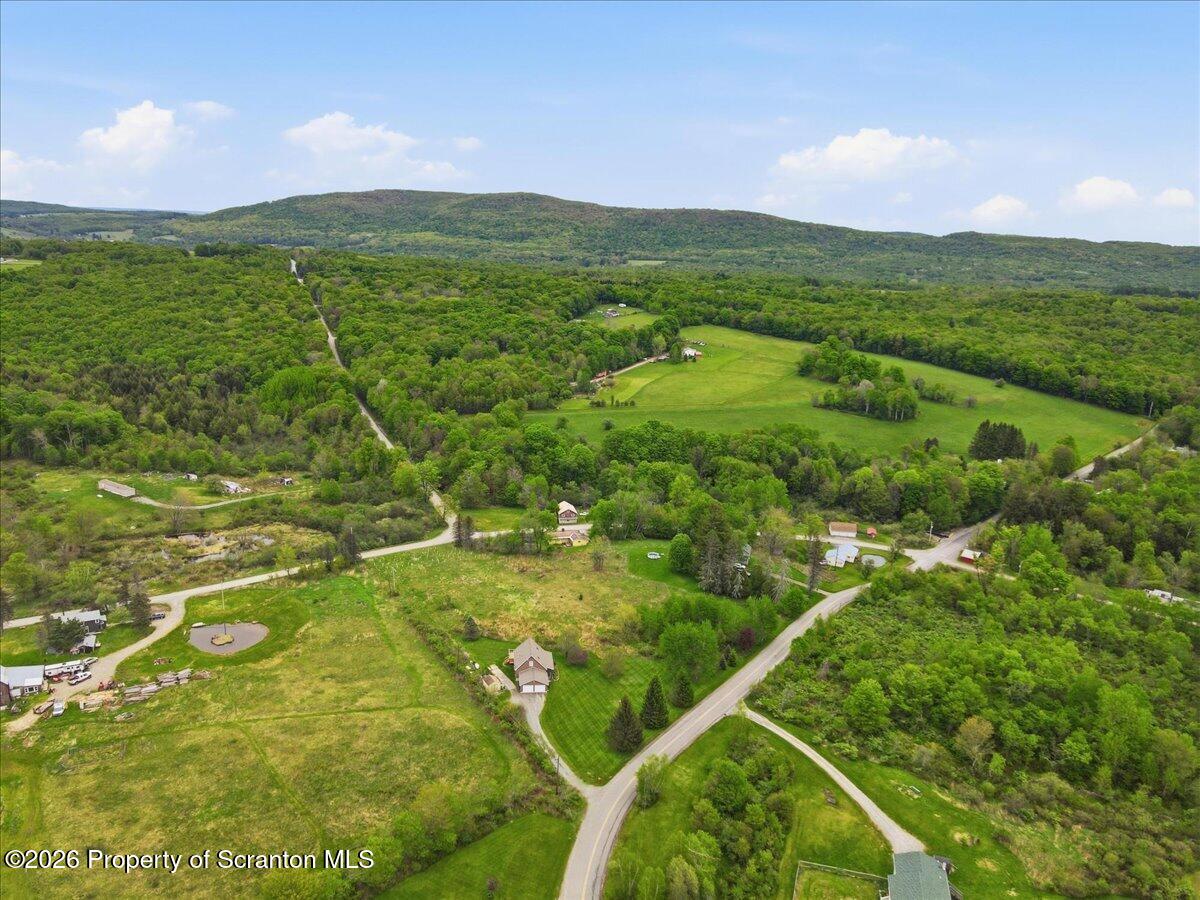 5231 Fiddle Lake Road Thompson, PA 18465 - Photo 6 of 34 a view of a city