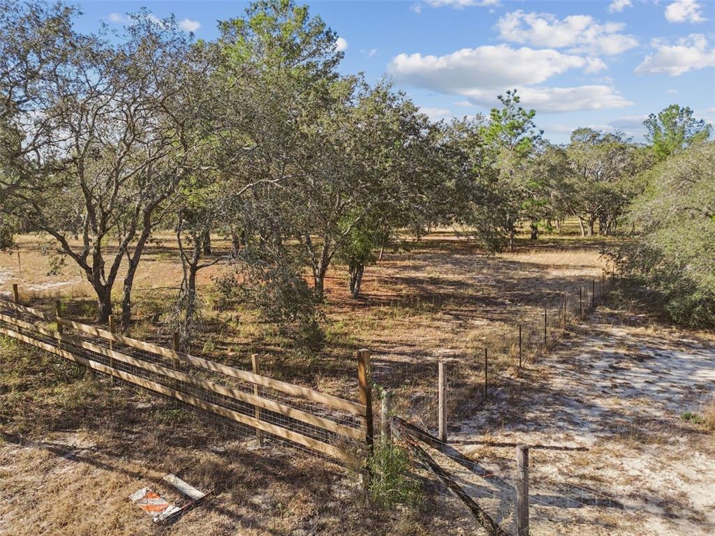 14459 Coyote Road Hudson, FL 34669 - Photo 12 of 55 a view of a yard with plants and large trees