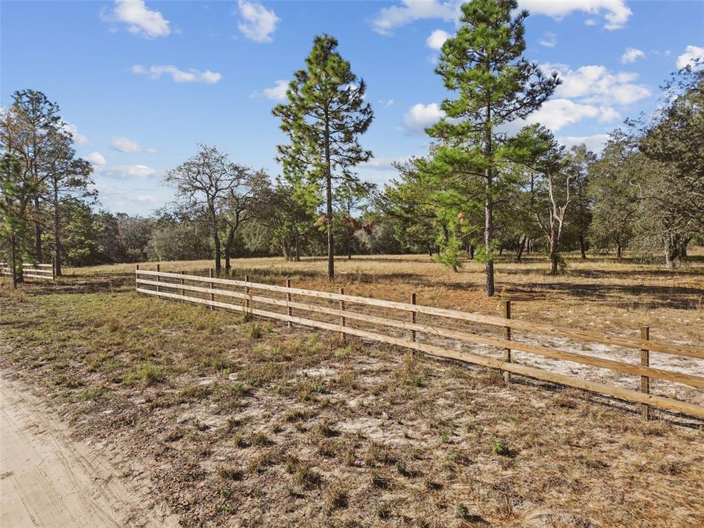 14459 Coyote Road Hudson, FL 34669 - Photo 14 of 55 a view of a yard with lots of green space and trees