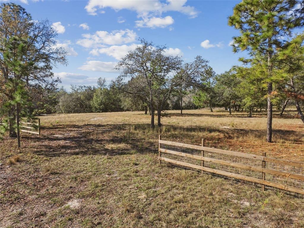 14459 Coyote Road Hudson, FL 34669 - Photo 15 of 55 a view of a yard with an trees