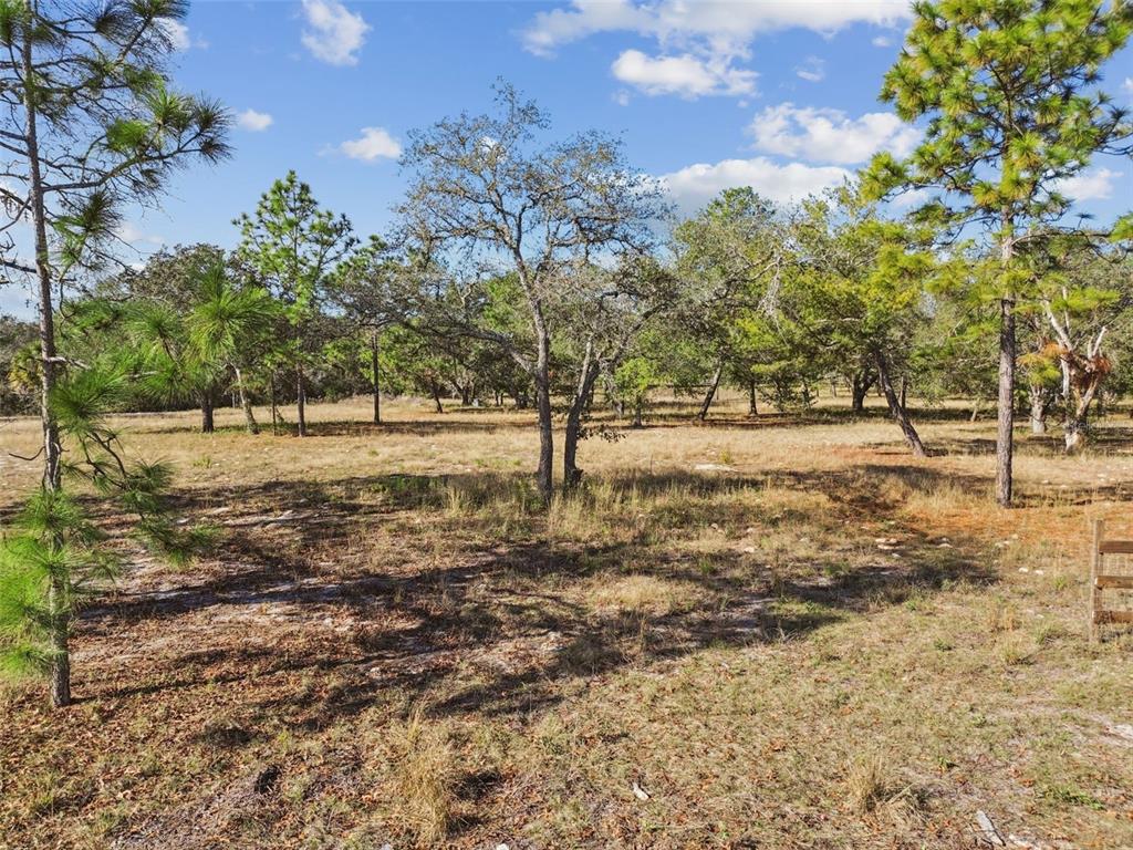 14459 Coyote Road Hudson, FL 34669 - Photo 16 of 55 a view of a yard with a tree