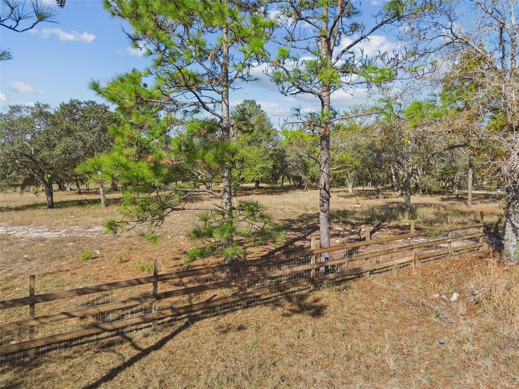 14459 Coyote Road Hudson, FL 34669 - Photo 18 of 55 a backyard of a house