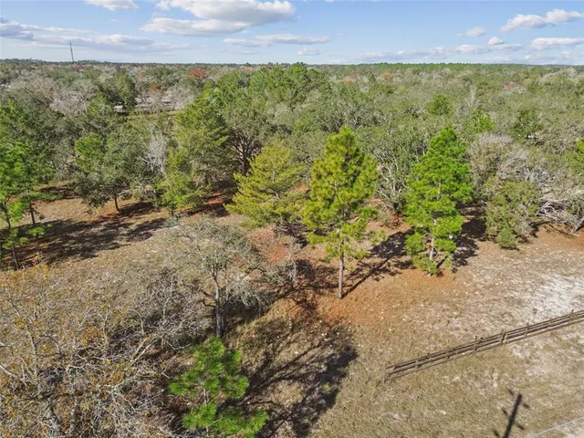 a view of a yard with plants and large trees
