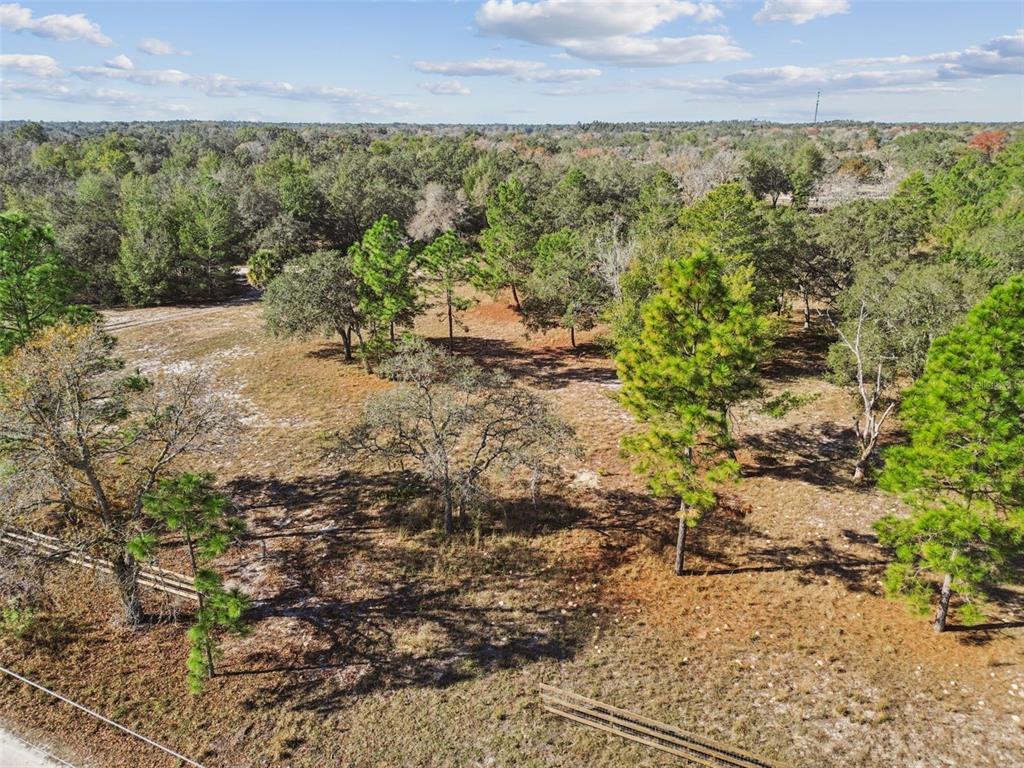 14459 Coyote Road Hudson, FL 34669 - Photo 21 of 55 a view of a yard with plants and large trees