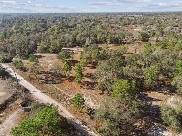 a view of a city with lots of trees