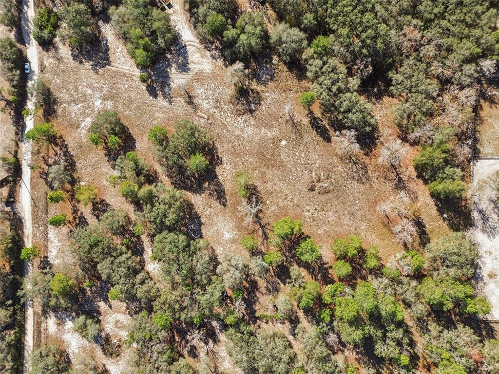 14459 Coyote Road Hudson, FL 34669 - Photo 33 of 55 a view of a yard of a house