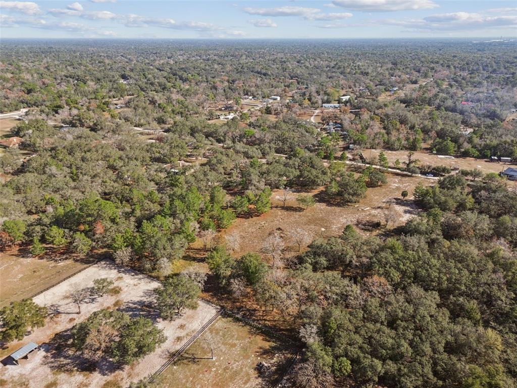 14459 Coyote Road Hudson, FL 34669 - Photo 38 of 55 a view of a yard