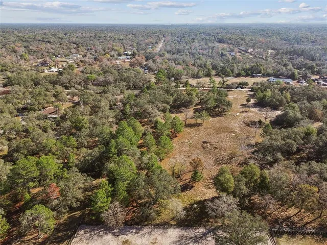 an aerial view of forest