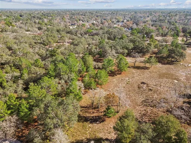 a view of a large yard with lots of green space