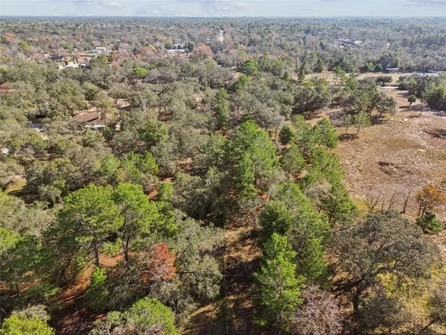 an aerial view of forest