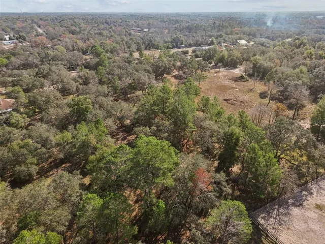 an aerial view of forest