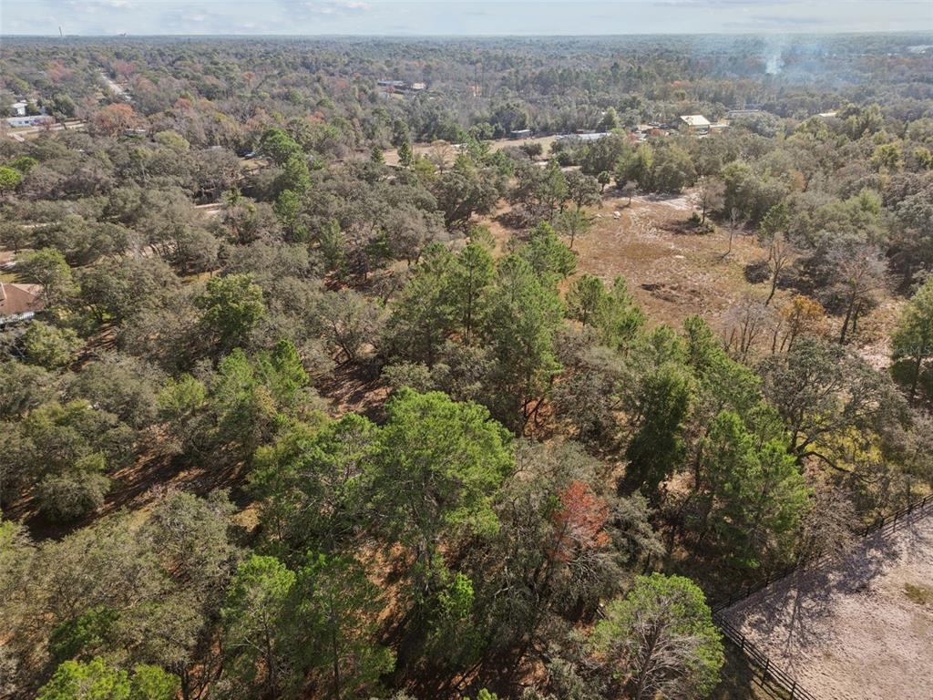 14459 Coyote Road Hudson, FL 34669 - Photo 45 of 55 an aerial view of forest