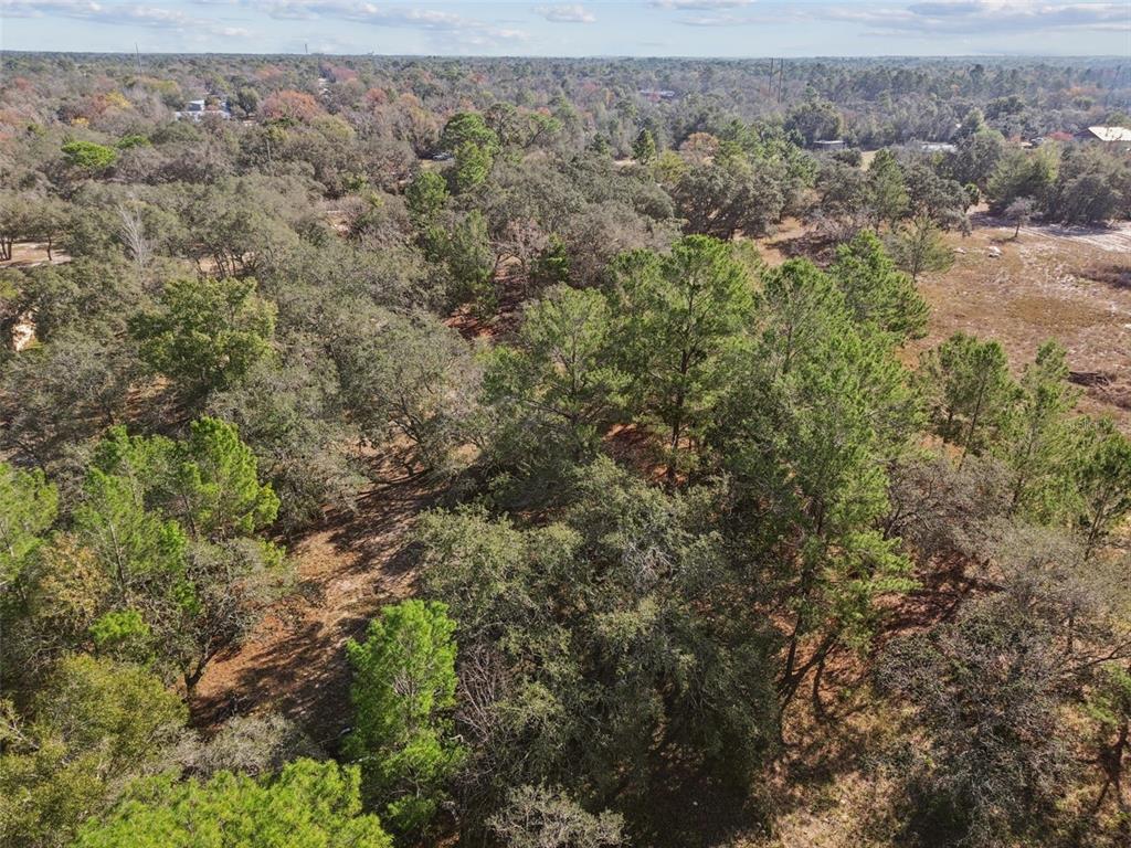 14459 Coyote Road Hudson, FL 34669 - Photo 46 of 55 an aerial view of forest